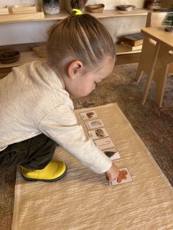 Horme Montessori Microschool Horme Montessori Microschool